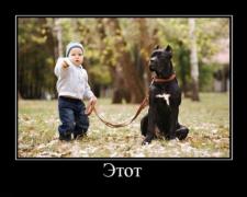 demotivatory_16 (1).jpg