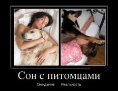 demotivatory_26 (3).jpg