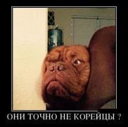 demotivatory_29 (1).jpg