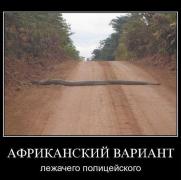 demotivatory_19 (3).jpg