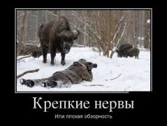 demotivatory_17 (1).jpg