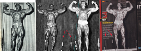 arnold fake 1.png
