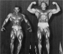Arnold.png