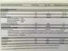 B5DA9432-95CC-4AF5-97CC-C852D57E8D40.jpeg