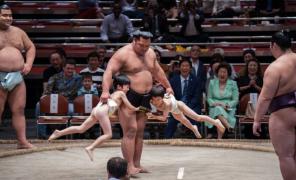 sp-sumo-a-20170926-870x529.jpg
