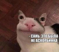 IMG-20191022-WA0026.jpg