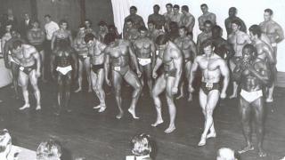 1967 Nabba Universe comparison calves.jpg