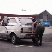 гифки-девушка-машина-становая-тяга-6212327.gif