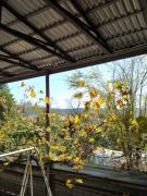 IMG_20201023_123107.jpg