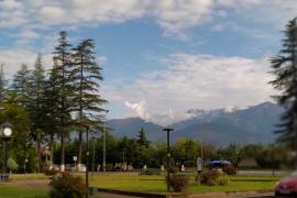 IMG_20201022_171452.jpg