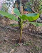 IMG_20201028_174708.jpg