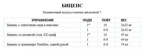 Ятс_бицепс.jpg