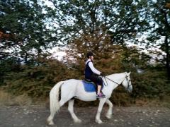 IMG_20201003_175446.jpg