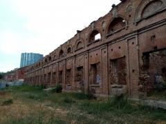 IMG_20201004_131013.jpg
