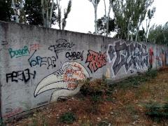 IMG_20201004_131034.jpg
