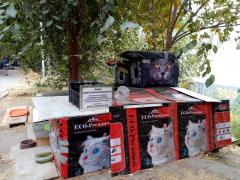 IMG_20201004_130154.jpg