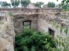 IMG_20201004_131610.jpg