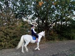IMG_20201003_175448.jpg