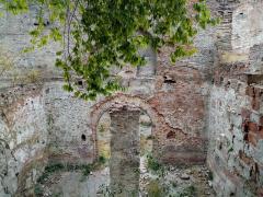 IMG_20201004_131356.jpg