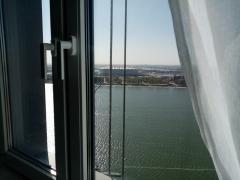 IMG_20201006_100123.jpg