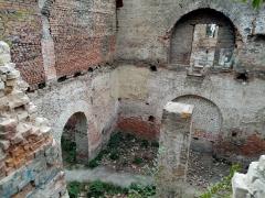 IMG_20201004_131456.jpg