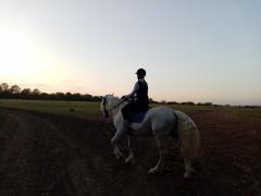 IMG_20201003_175615.jpg