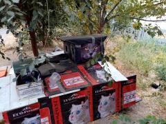 IMG_20201004_130234.jpg
