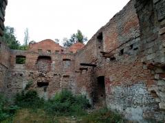 IMG_20201004_131159.jpg