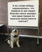 eoNnyTKf1Ho.jpg