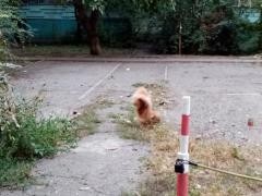 IMG-20211002-WA0009.jpg