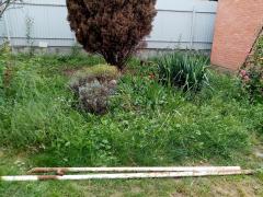 IMG_20210901_173639.jpg
