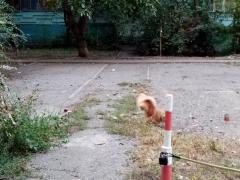IMG-20211002-WA0008.jpg