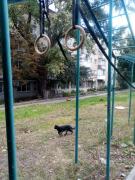 IMG_20210928_144543.jpg