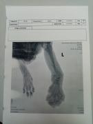 IMG_20221006_184943.jpg