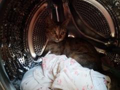 IMG_20221002_135010.jpg