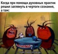 311706573_2788536991278605_5455187404762455401_n.jpg