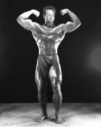 Steve Reeves 771.jpg