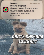 приколы-для-даунов-баянометр-молчал-5326482.png