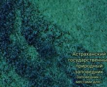 IMG_20241012_191935.jpg