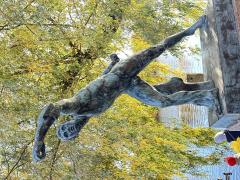 IMG_1764.jpeg