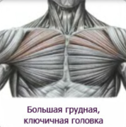 Снимок экрана 2024-10-27 в 19.52.57.png