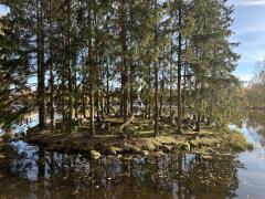 IMG_1771.jpeg