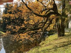 IMG_1719.jpeg