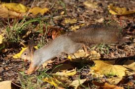 IMG_20241021_153633.jpg