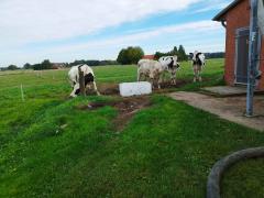 IMG_20251003_121452.jpg