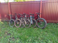 IMG_20250924_165521.jpg