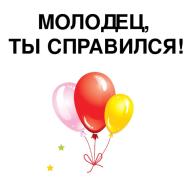 159999183916399345145f5df01fd8215-Конц урока - Молодец.jpg