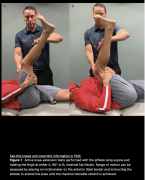 Снимок экрана 2025-10-09 в 19.00.43.png