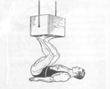 Жим ногами история.jpg