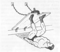 Жим ногами история 1.jpg